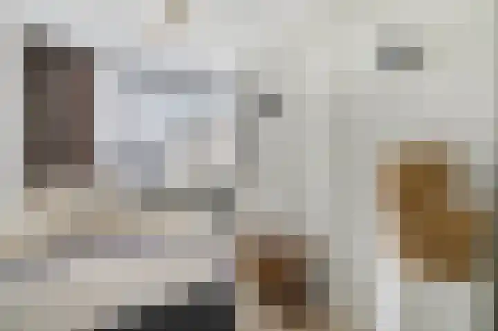 Waalkant 33 Ochten thumbnail 29