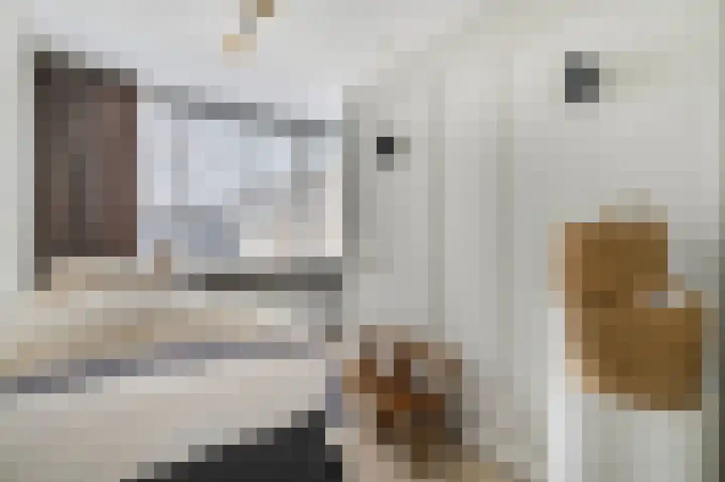 Waalkant 33 Ochten thumbnail 30