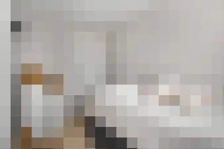 Waalkant 33 Ochten thumbnail 31