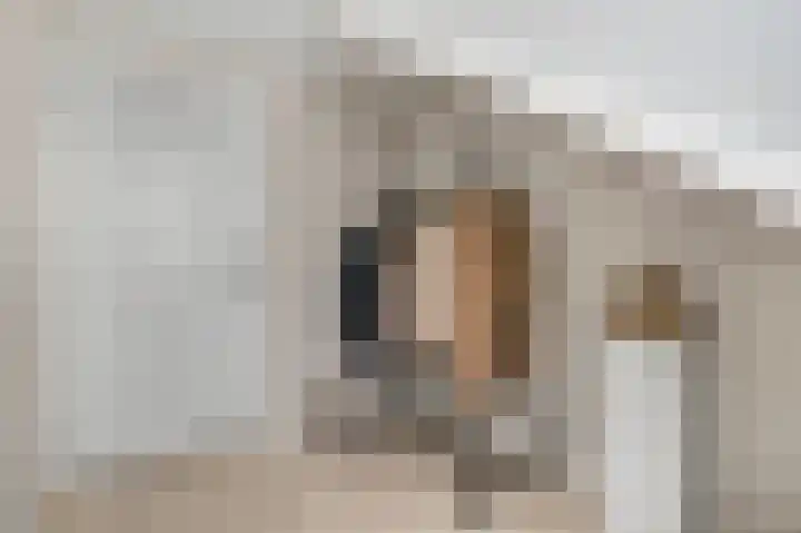Waalkant 33 Ochten thumbnail 33