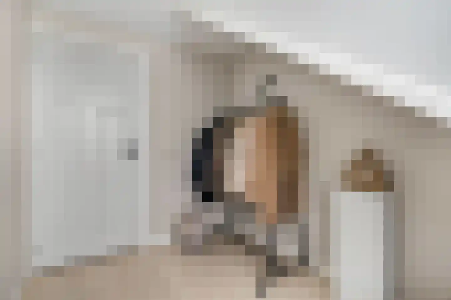 Waalkant 33 Ochten thumbnail 34