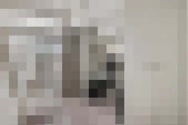 Waalkant 33 Ochten thumbnail 35