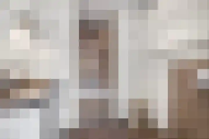 Waalkant 33 Ochten thumbnail 37