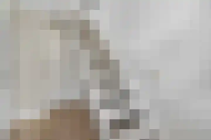Waalkant 33 Ochten thumbnail 38