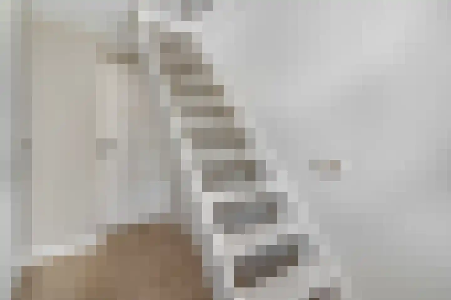 Waalkant 33 Ochten thumbnail 39