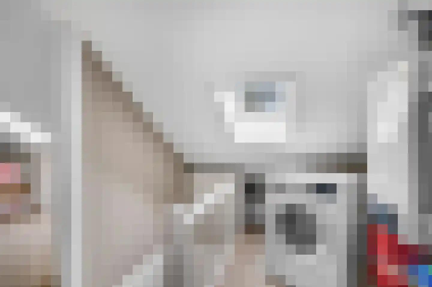 Waalkant 33 Ochten thumbnail 40