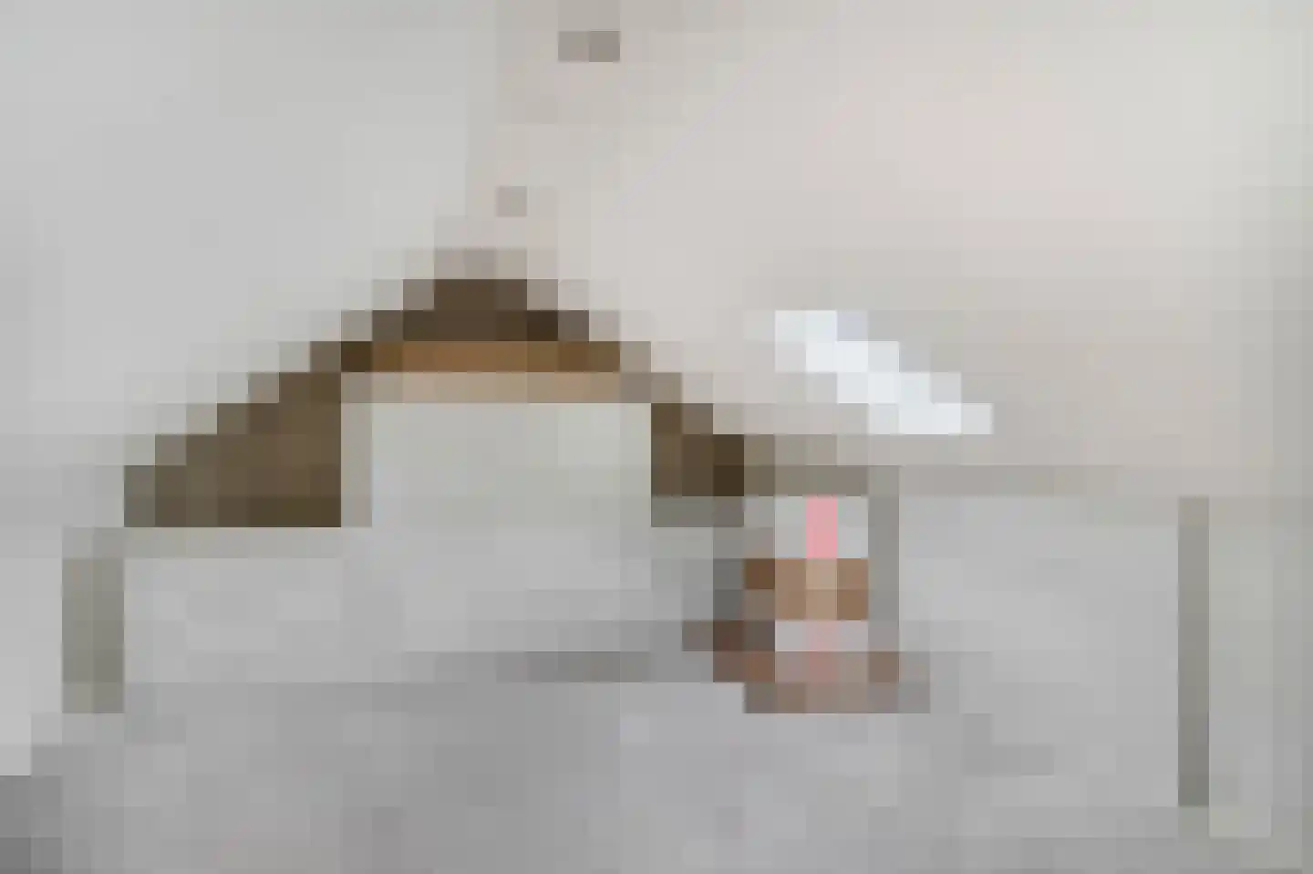 Waalkant 33 Ochten thumbnail 41