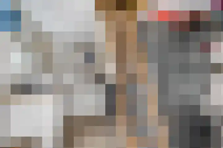 Waalkant 33 Ochten thumbnail 43