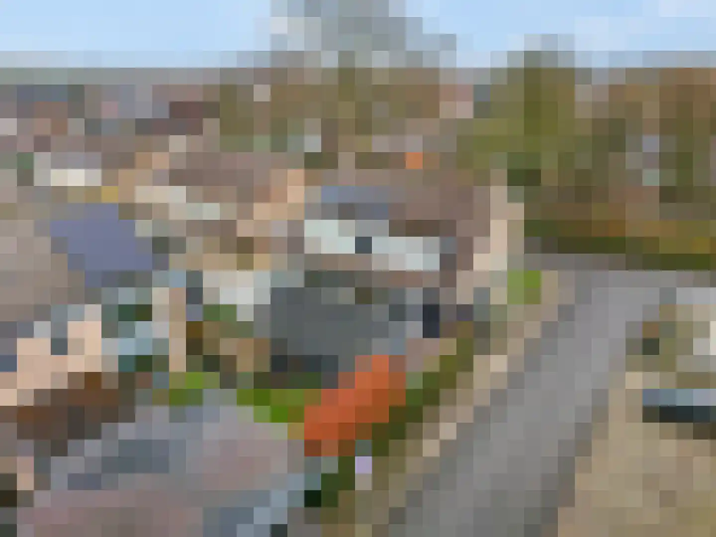 Waalkant 33 Ochten thumbnail 52