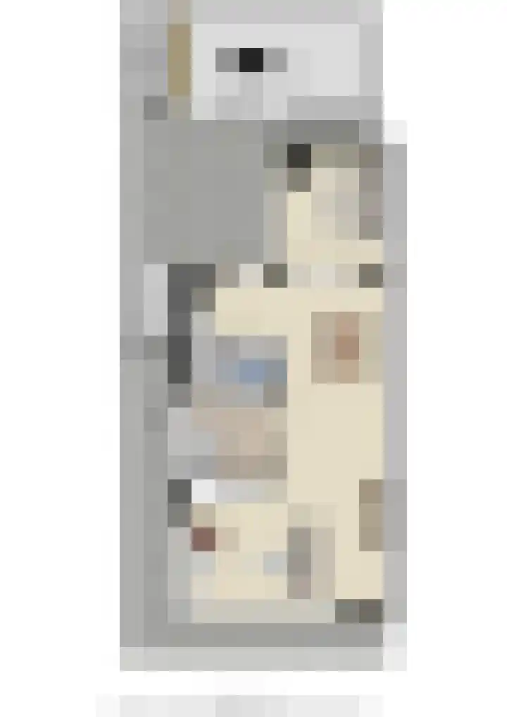 Waalkant 33 Ochten thumbnail 54
