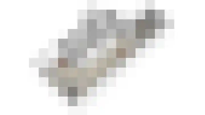 Waalkant 33 Ochten thumbnail 60