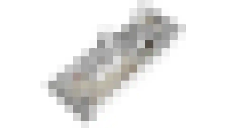 Waalkant 33 Ochten thumbnail 64