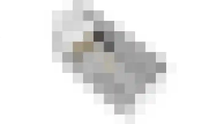Waalkant 33 Ochten thumbnail 64