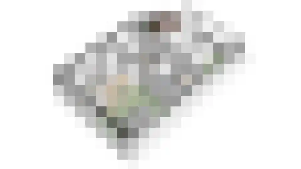 Waalkant 33 Ochten thumbnail 65