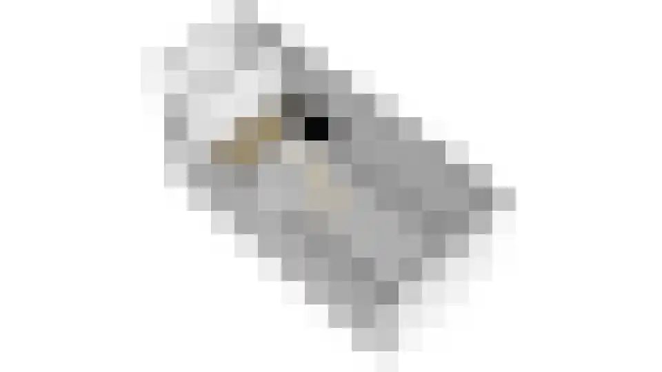 Waalkant 33 Ochten thumbnail 67