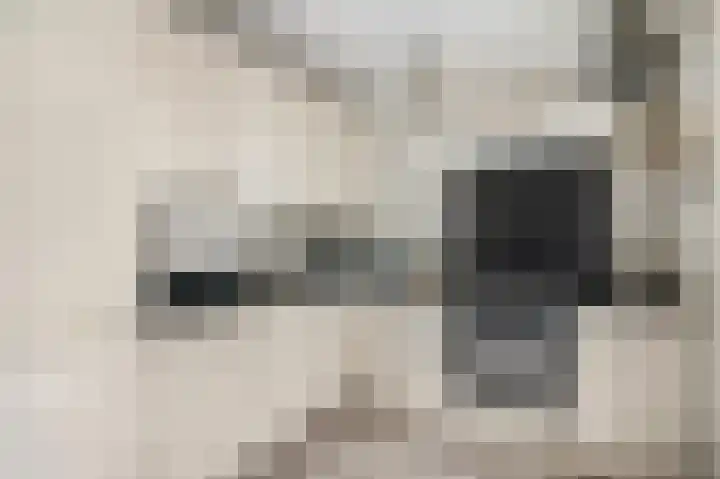 Waalkant 33 Ochten thumbnail 8