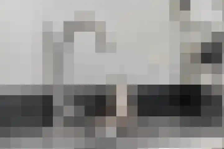 Waalkant 33 Ochten thumbnail 9