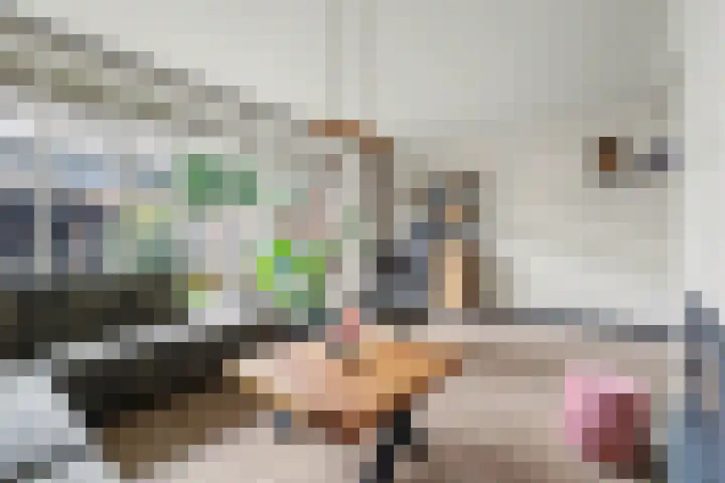 Waalkant 40 Ochten thumbnail 18