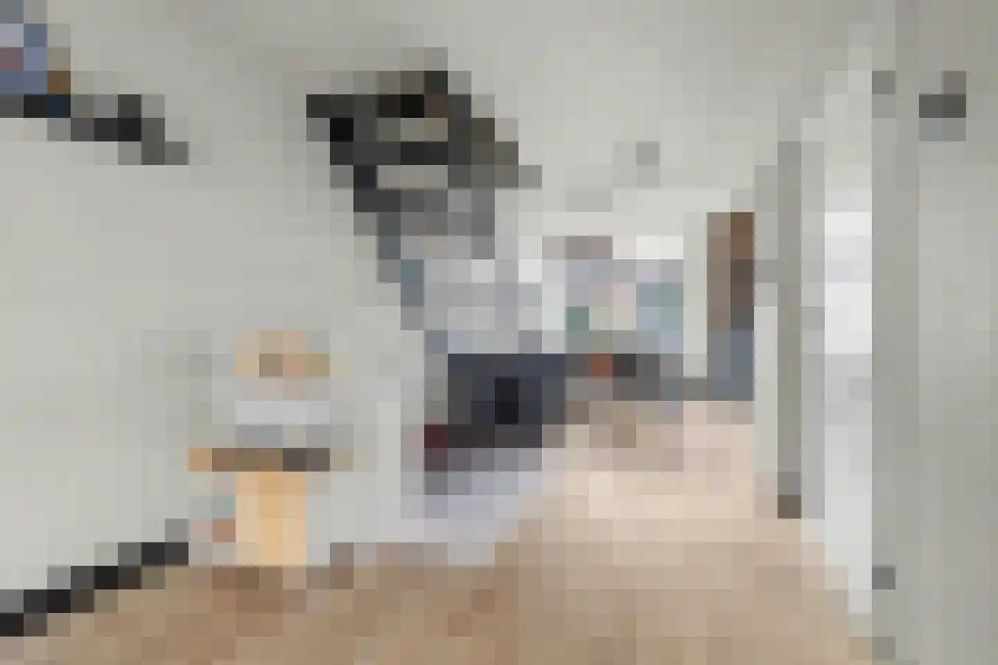 Waalkant 40 Ochten thumbnail 27