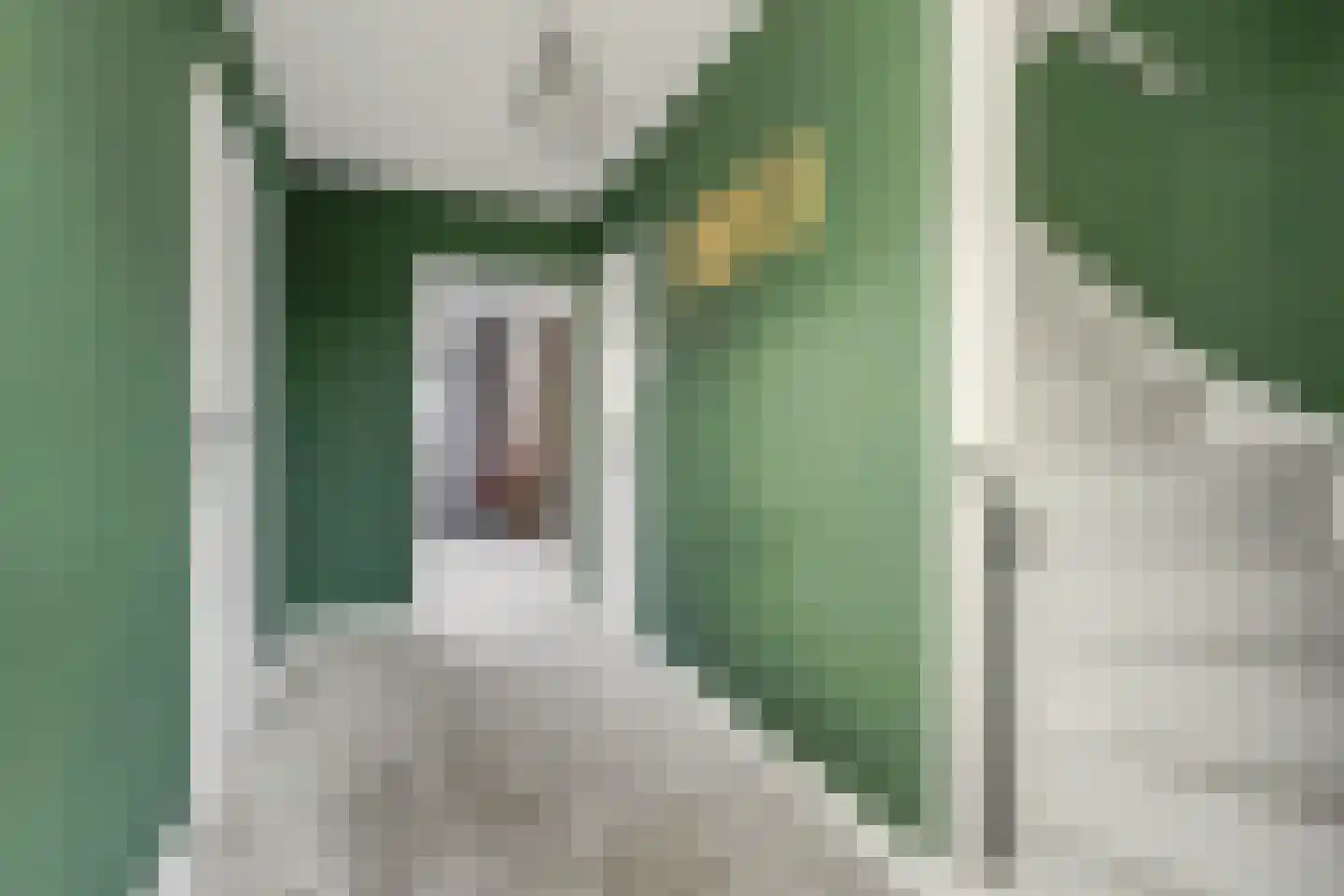Waalkant 40 Ochten thumbnail 30