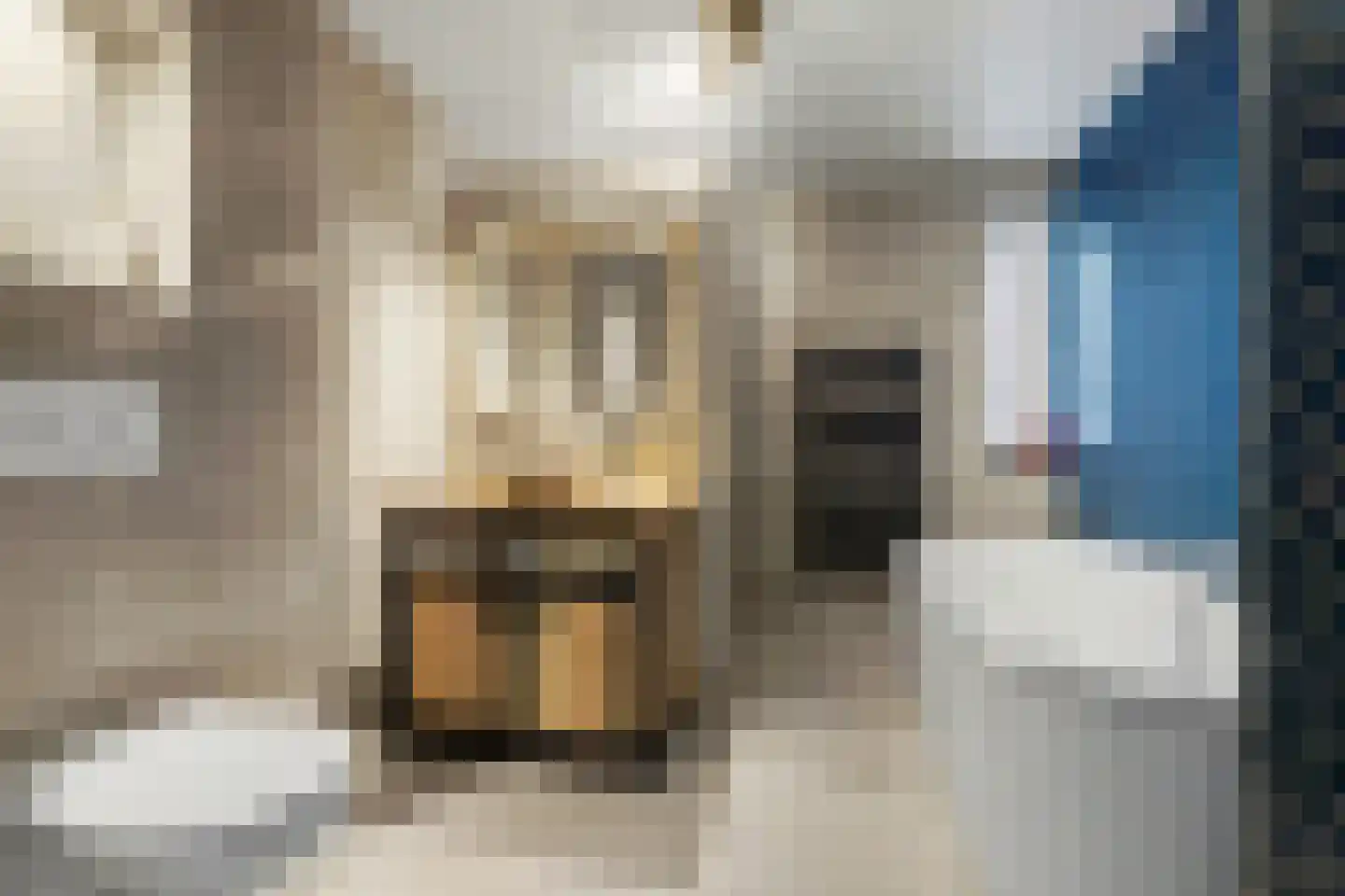Waalkant 40 Ochten thumbnail 34