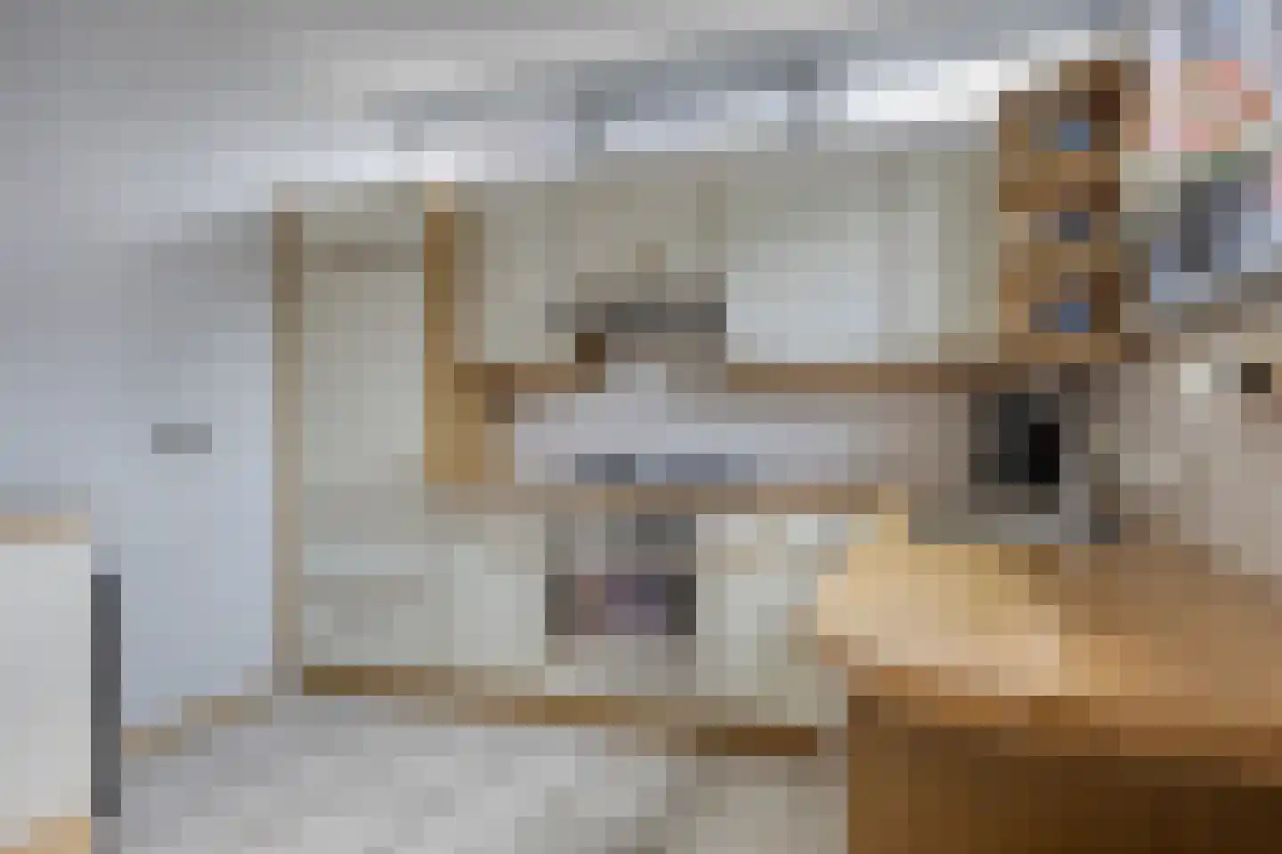 Waalkant 42 Ochten thumbnail 12