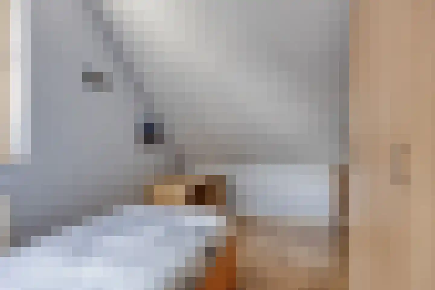Waalkant 42 Ochten thumbnail 23
