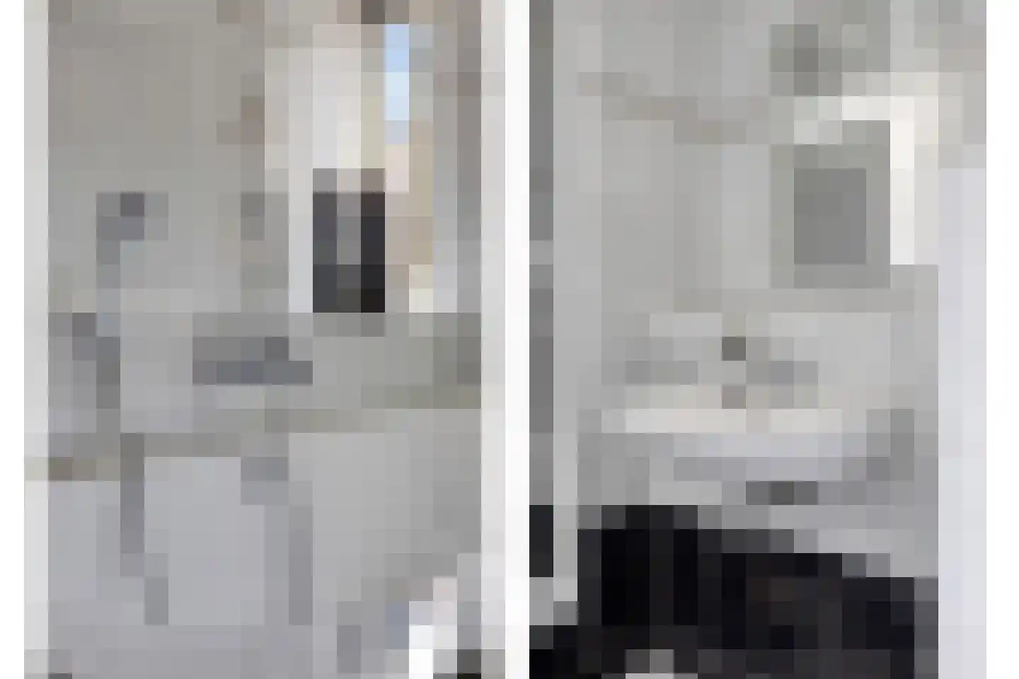 Waalkant 42 Ochten thumbnail 27