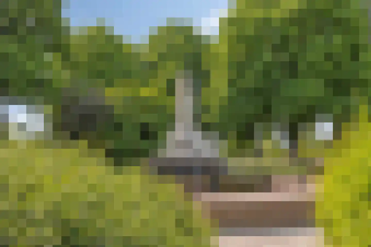 Waalkant 42 Ochten thumbnail 37
