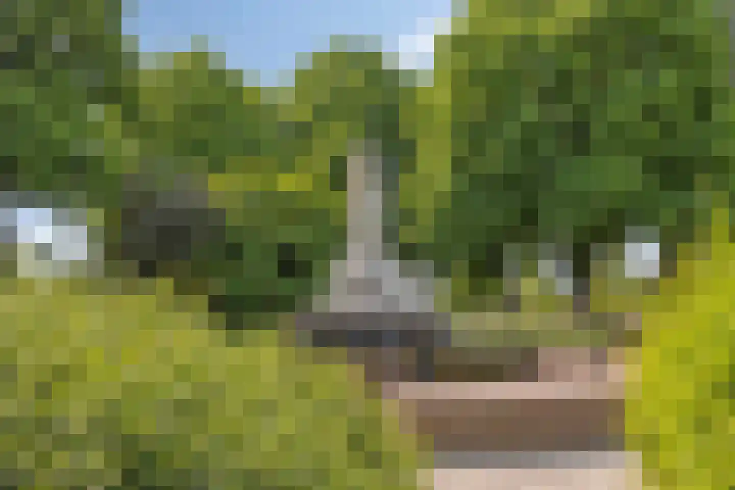 Waalkant 42 Ochten thumbnail 38