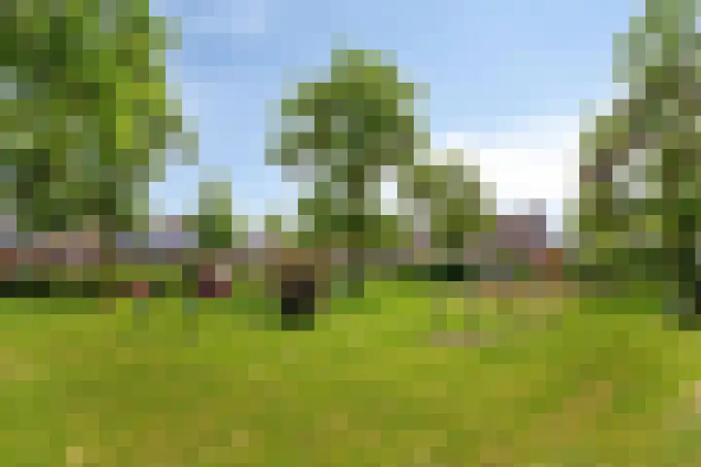 Waalkant 42 Ochten thumbnail 39