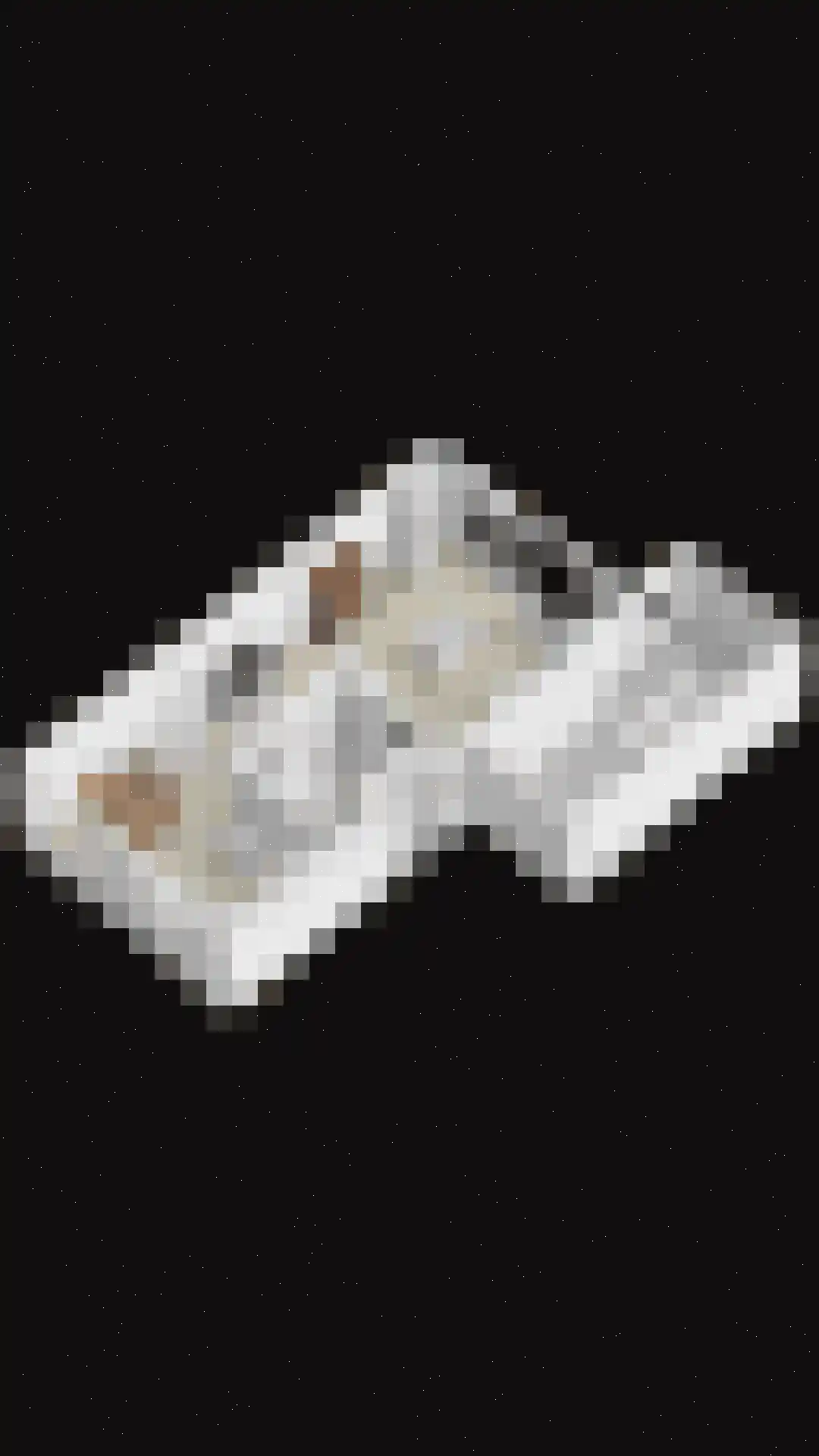 Waalkant 42 Ochten thumbnail 42