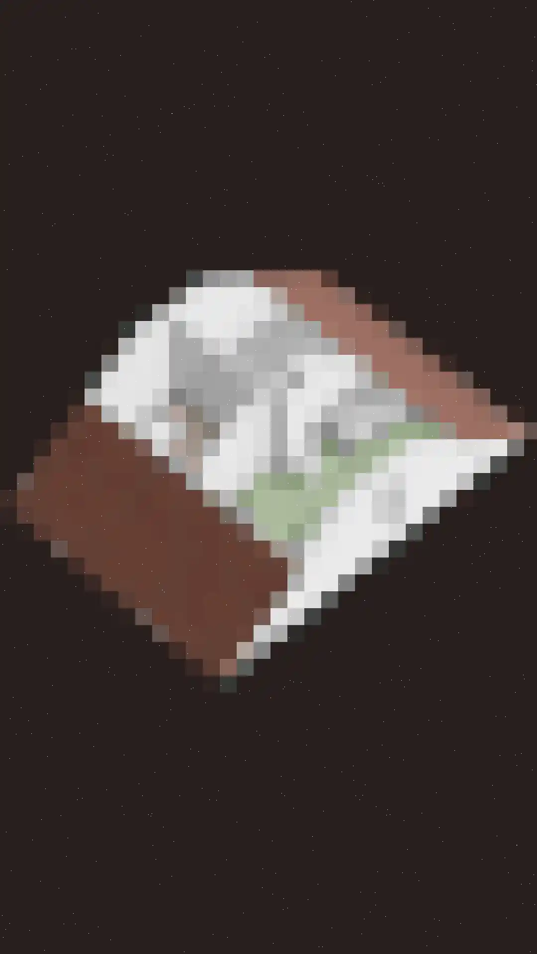 Waalkant 42 Ochten thumbnail 46