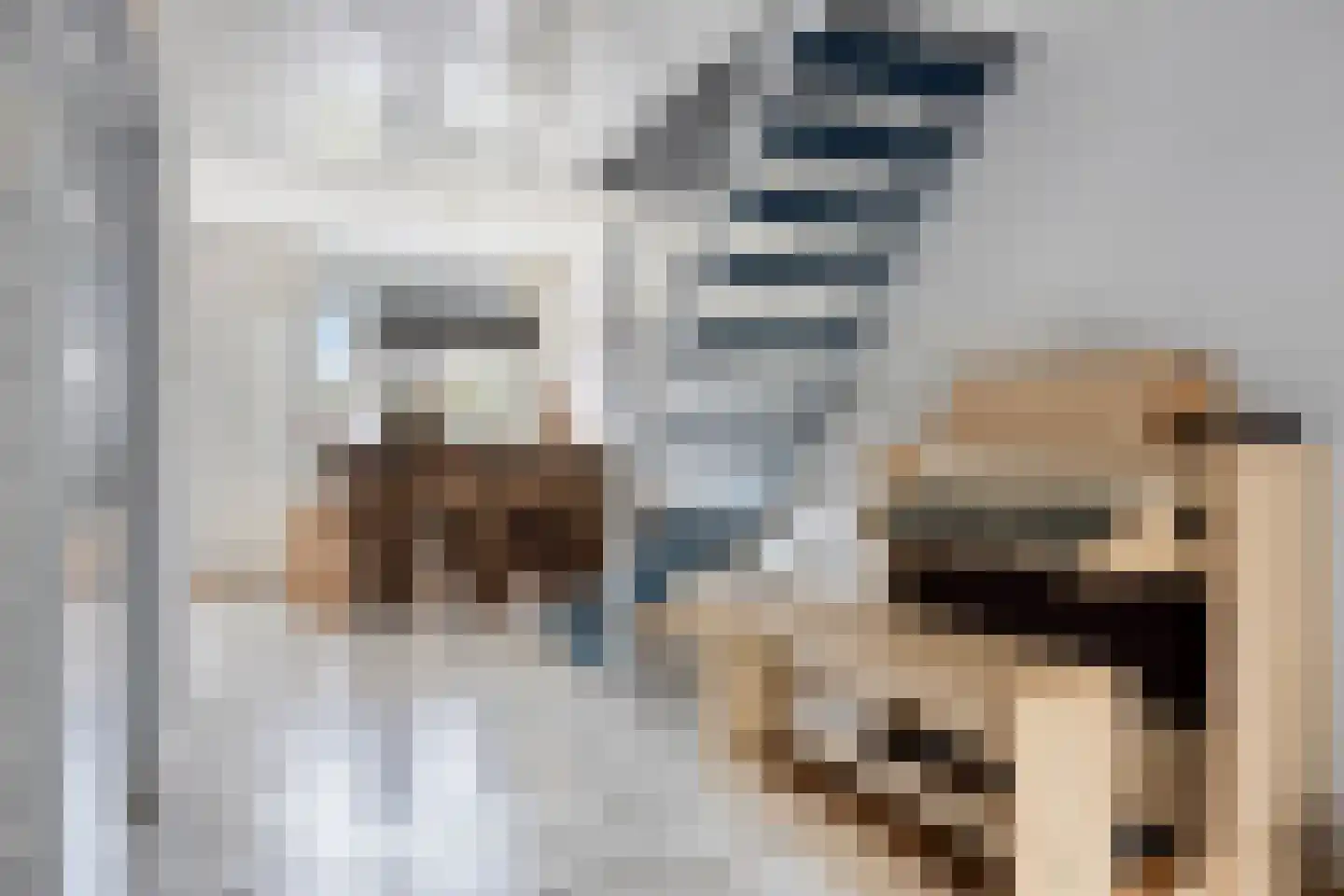 Waalkant 42 Ochten thumbnail 9