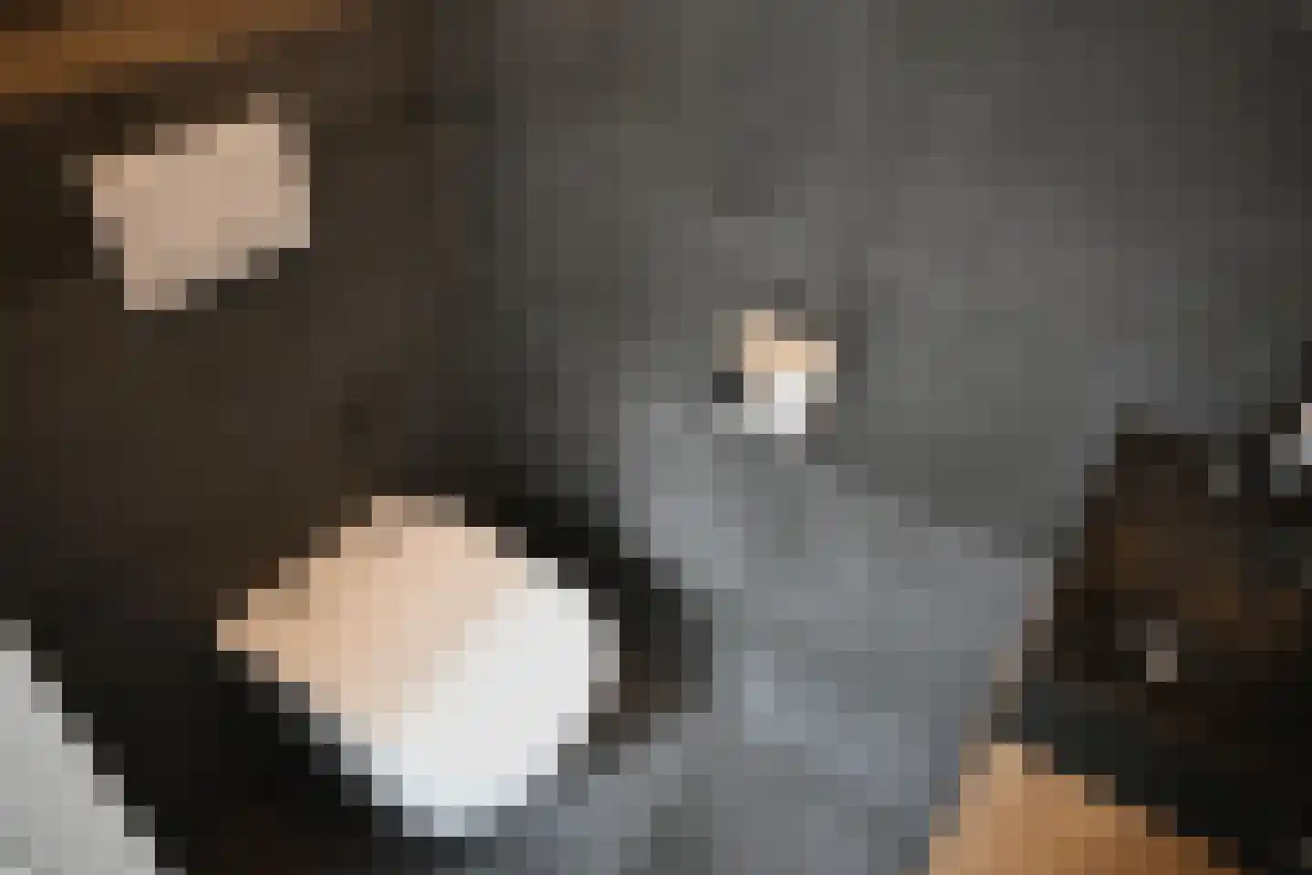 Waaloord 3 Woerden thumbnail 10