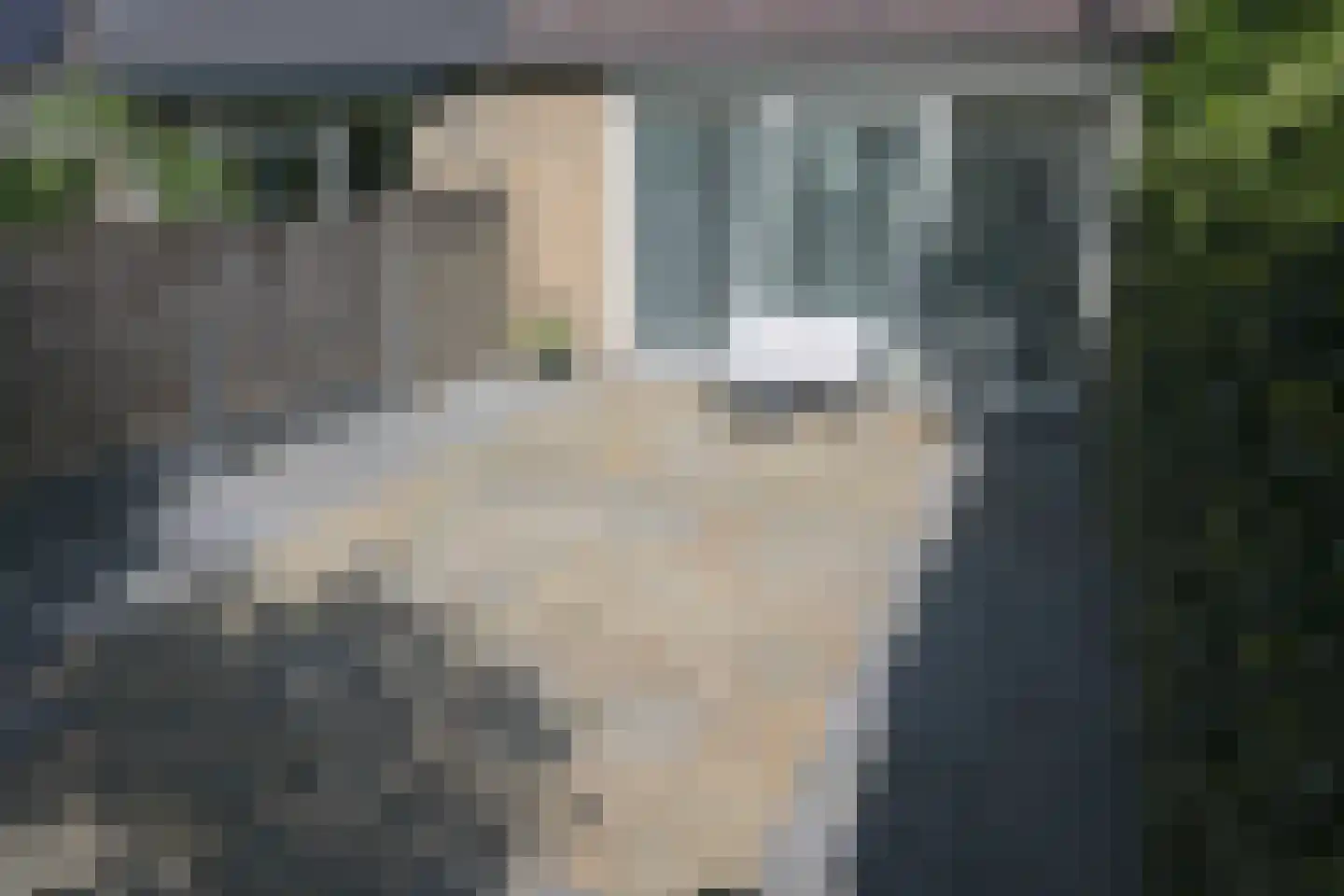 Waaloord 3 Woerden thumbnail 26