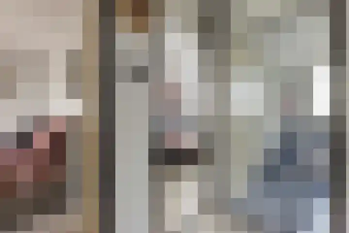 Waaloord 61 Woerden thumbnail 12