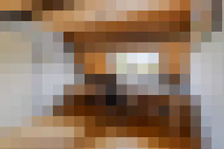 Waaloord 61 Woerden thumbnail 24