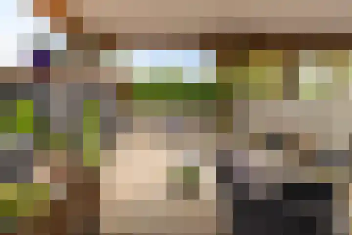 Waaloord 61 Woerden thumbnail 26