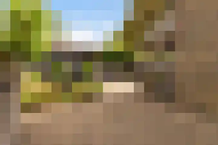 Waaloord 61 Woerden thumbnail 31