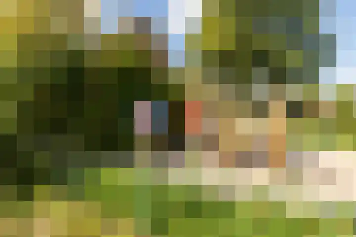 Waaloord 61 Woerden thumbnail 34