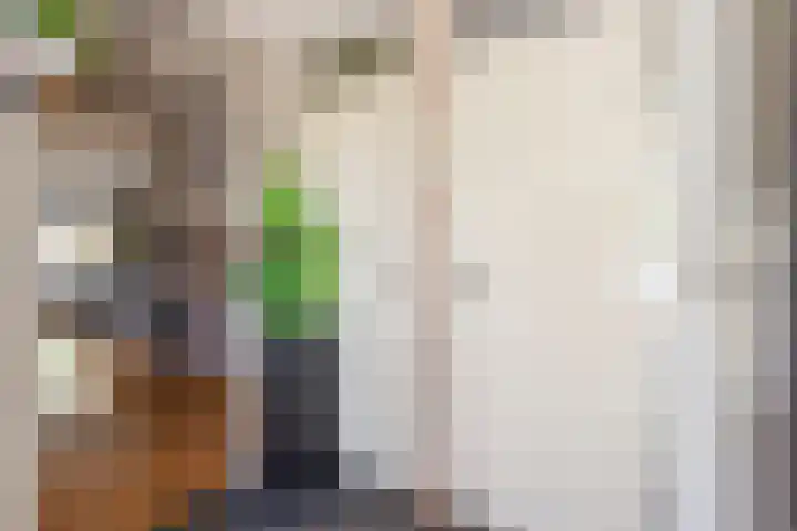 Waaloord 61 Woerden thumbnail 5
