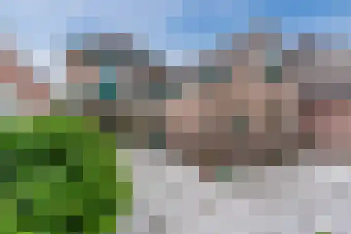 Waalreseweg 132 Valkenswaard thumbnail 6