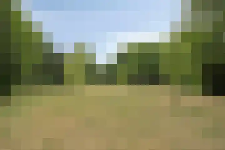 Waalreseweg 65 A Valkenswaard thumbnail 31