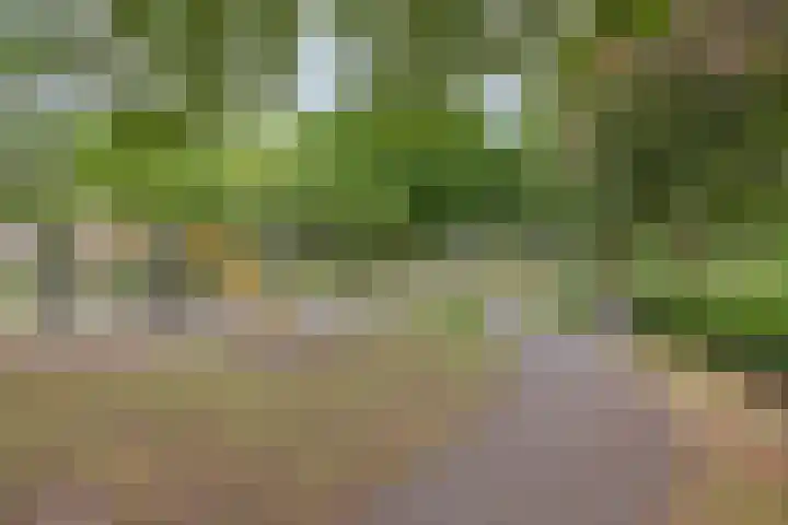 Waalreseweg 65 A Valkenswaard thumbnail 32