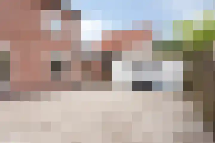 Waalreseweg 85 Valkenswaard thumbnail 24