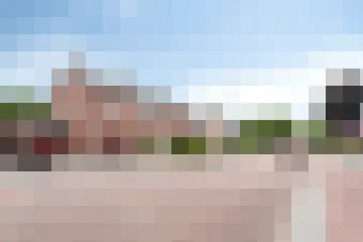 Waalreseweg 85 Valkenswaard thumbnail 4