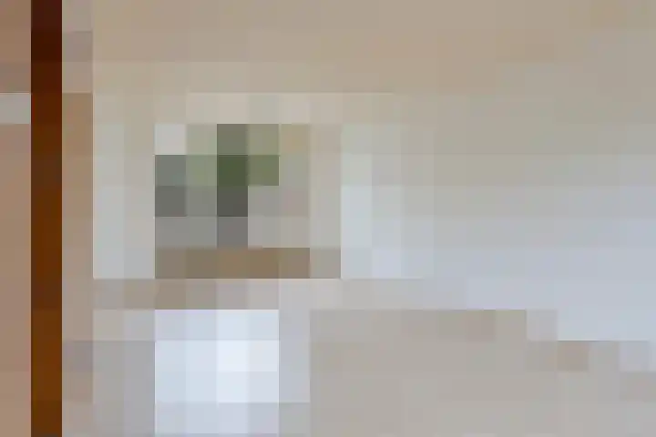 Waalreseweg 85 Valkenswaard thumbnail 9