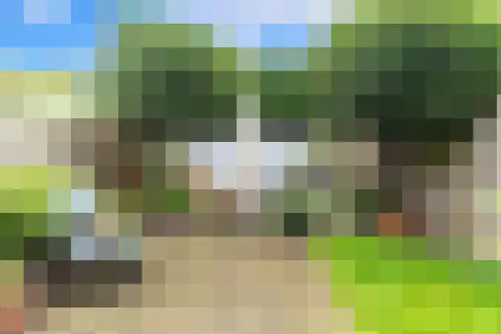 Waalsdorperlaan 23 Wassenaar thumbnail 15