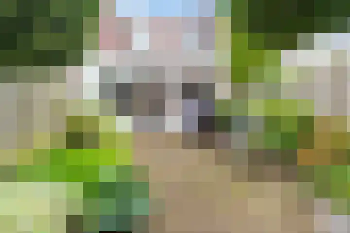 Waalsdorperlaan 23 Wassenaar thumbnail 16
